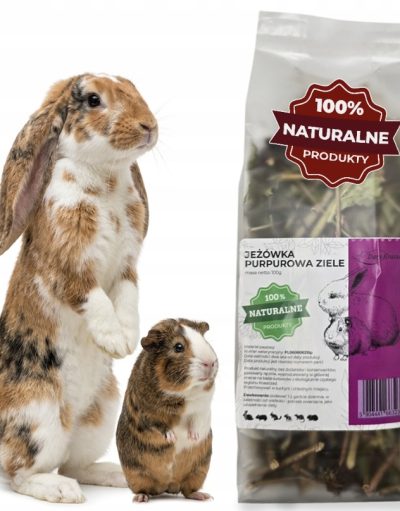 Ziele jeżówki - 100g