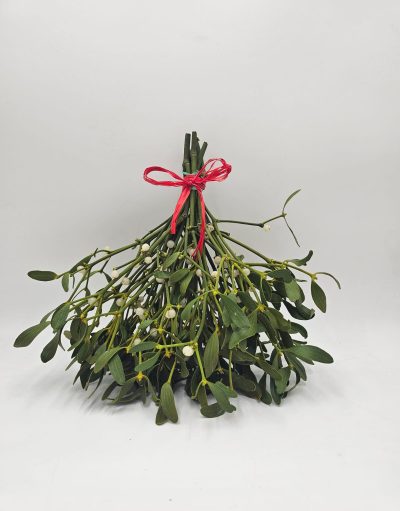 JEMIOŁA prawdziwa jemioła żywa zielona świąteczna dekoracja białe kulki