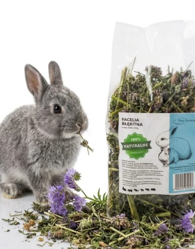 🌿 FACELIA BŁĘKITNA 100g – Naturalny Przysmak dla Królików i Gryzoni 🐰🐹