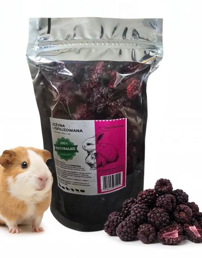 JEŻYNA LIOFILIZOWANA 30g