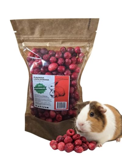 Żurawina liofilizowana 30g