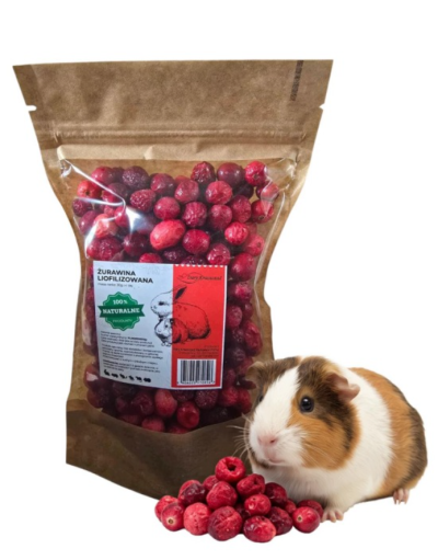 Żurawina liofilizowana 30g