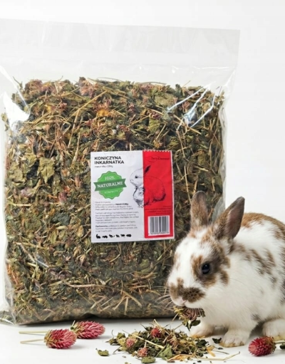 Koniczyna Inkarnatka 300g