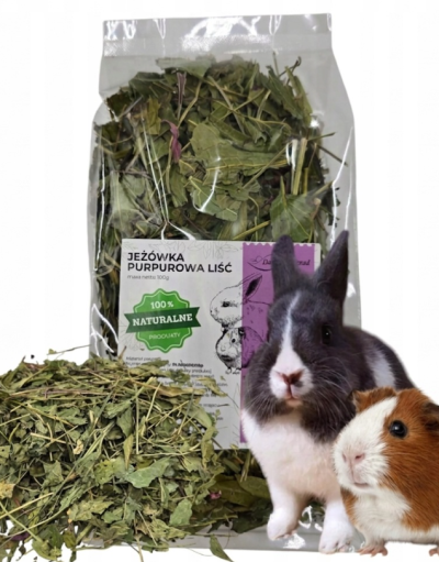 LIŚĆ JEŻÓWKI ZIOŁA 100G