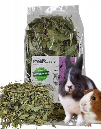 LIŚĆ JEŻÓWKI ZIOŁA 100G
